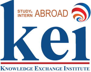 KEI logo